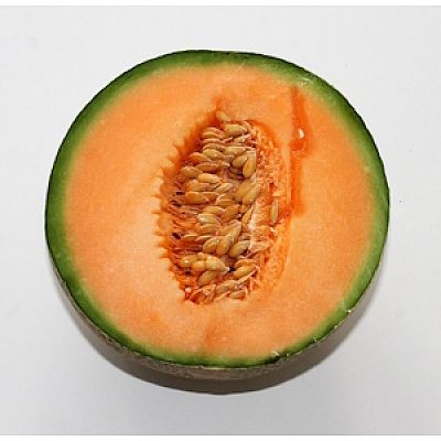 Melon 